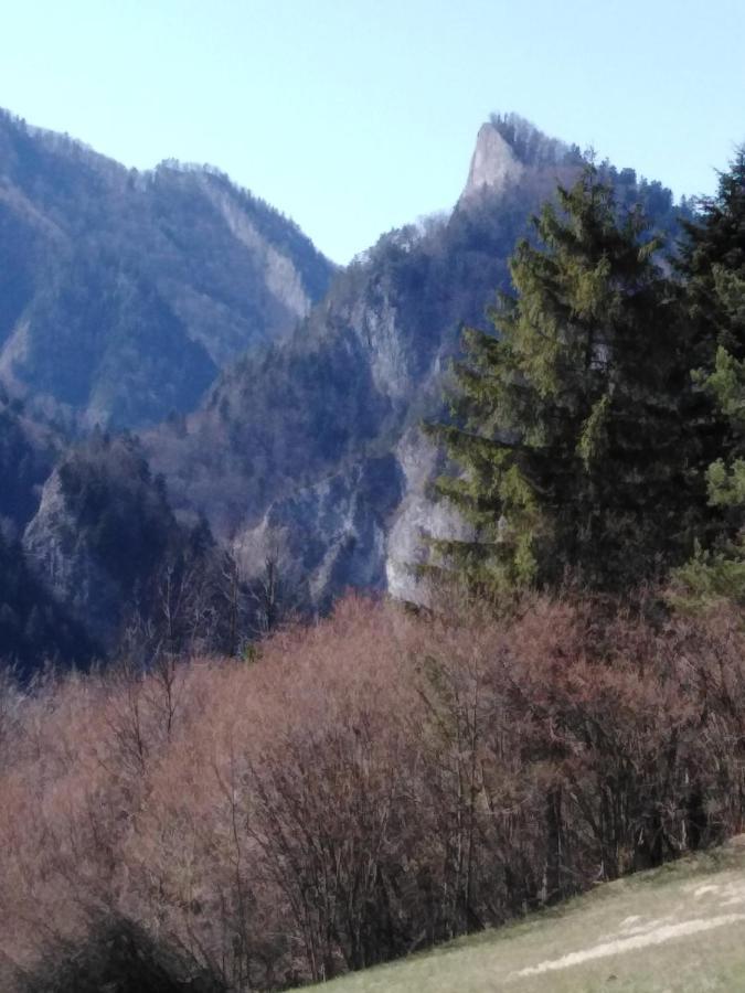 Chata Holica Pieniny Lesnica エクステリア 写真