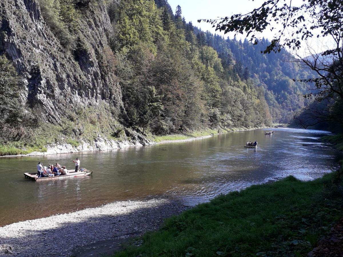 Chata Holica Pieniny Lesnica エクステリア 写真