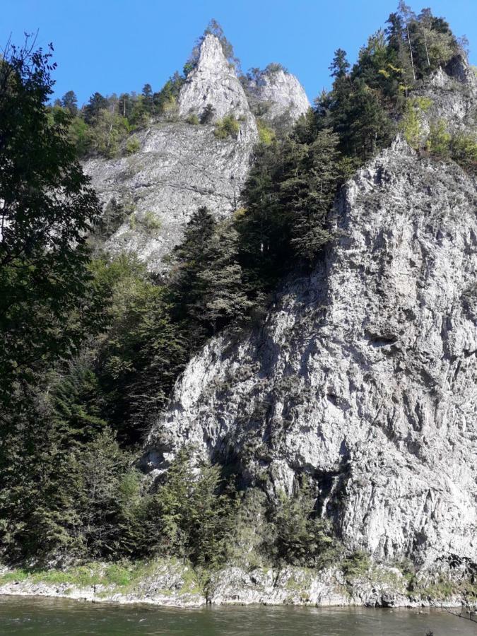 Chata Holica Pieniny Lesnica エクステリア 写真