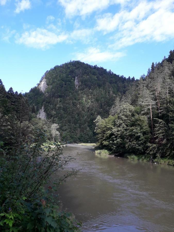Chata Holica Pieniny Lesnica エクステリア 写真