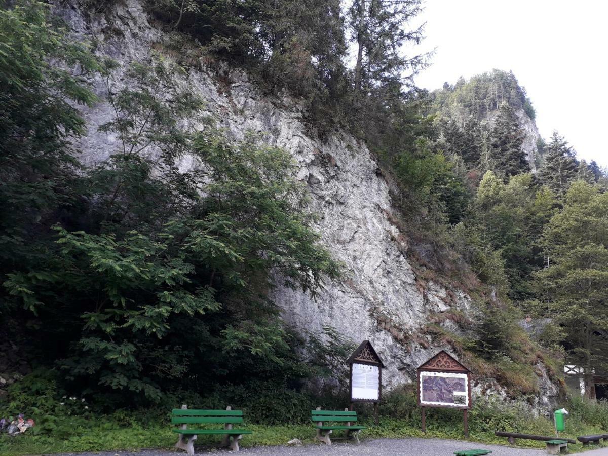 Chata Holica Pieniny Lesnica エクステリア 写真