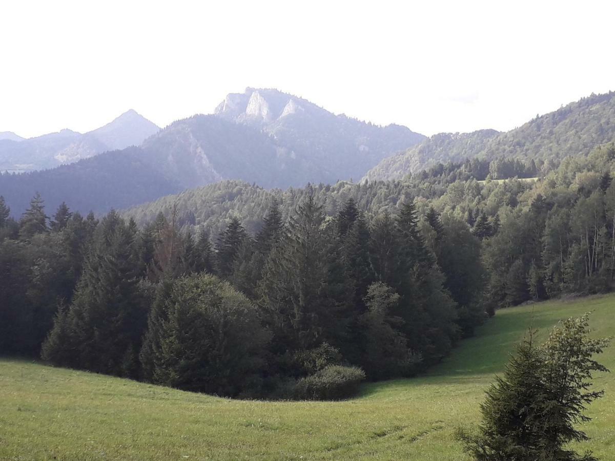 Chata Holica Pieniny Lesnica エクステリア 写真